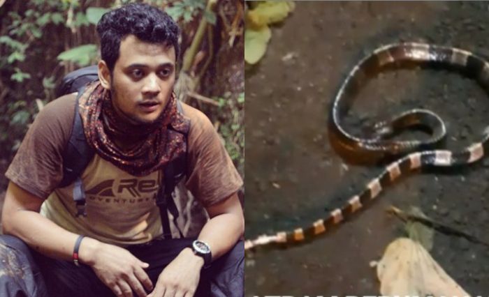 Rasa Gigitan Ular Weling