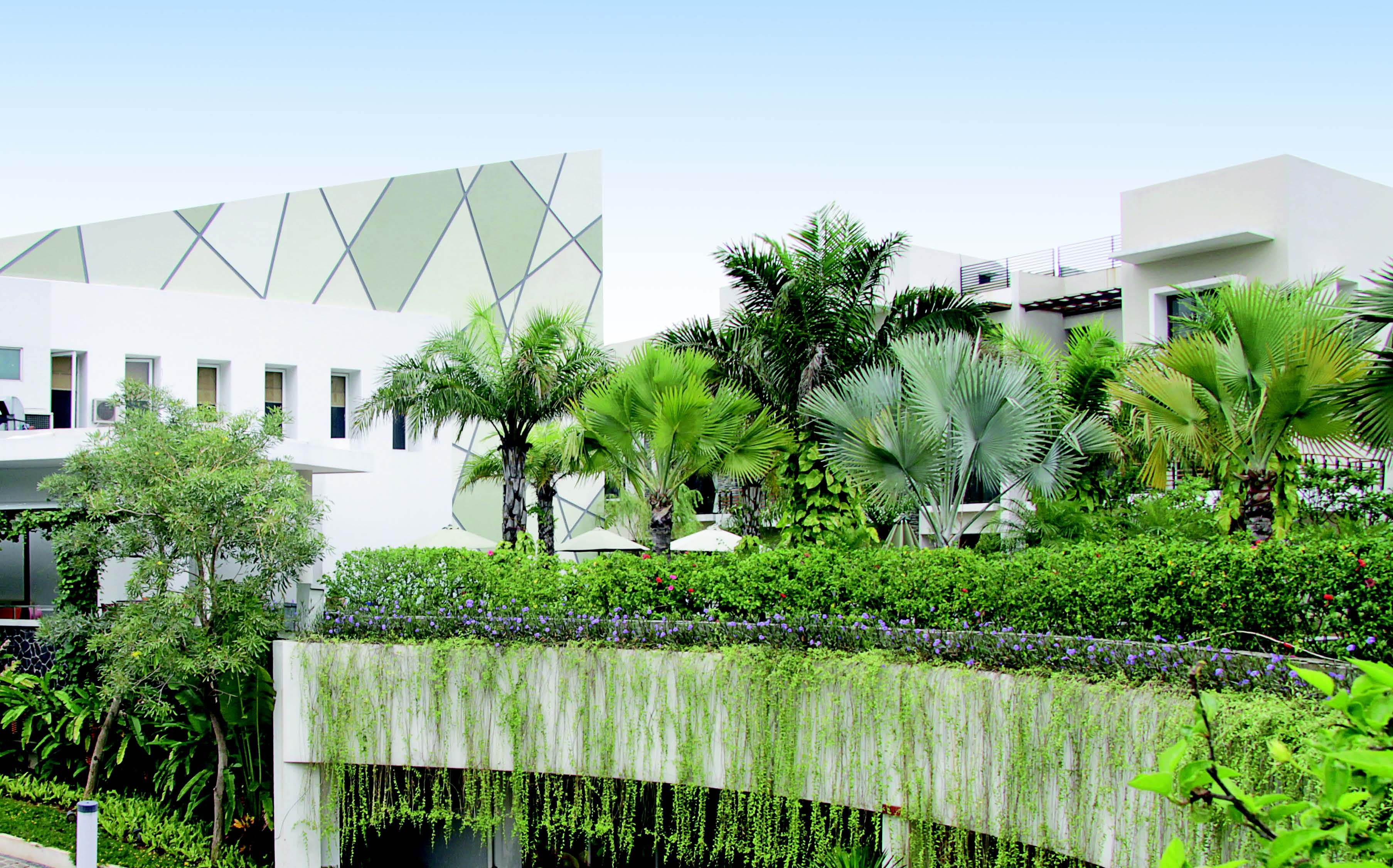 Tropical Green Roof System Paling Cocok Di Negara Tropis