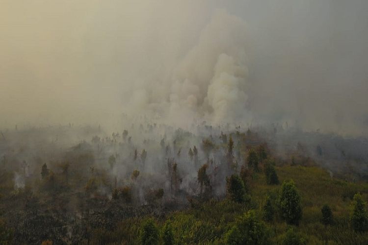 Kebakaran Hutan Dan Lahan Timbulkan Masalah Kesehatan Pada Anak Di Masa Depan Semua Halaman National Geographic