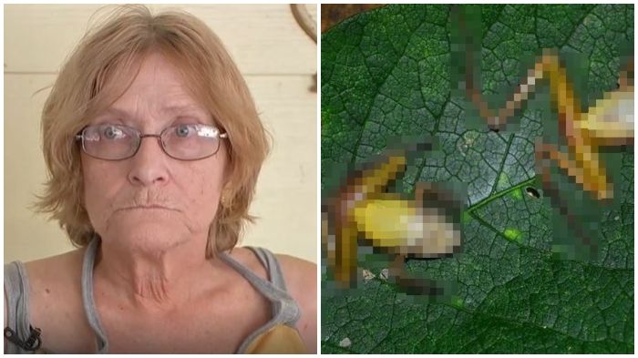 10 Hari Tersesat Di Hutan Rimba Nenek Pengidap Demensia Ditemukan