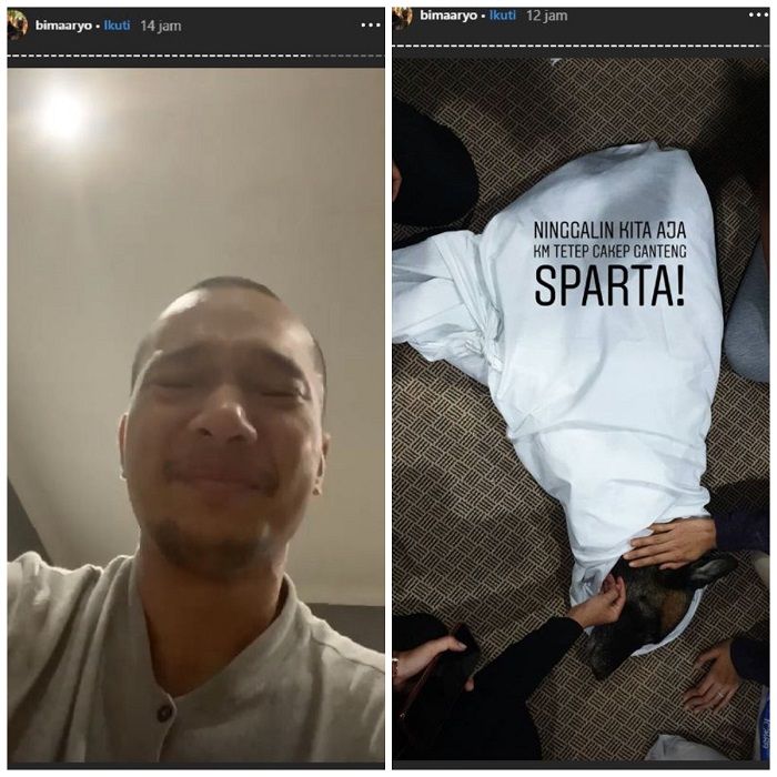 Anjing Sparta Yang Pernah Gigit Art Bima Aryo Meninggal Dunia