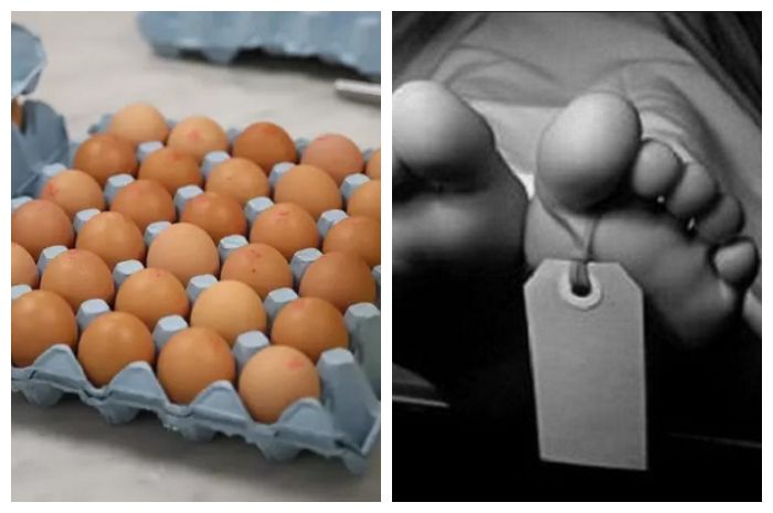 44 Gambar Kolase Dari Telur Terbaru