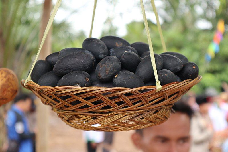 Buah Unik Kalimantan Buah Club