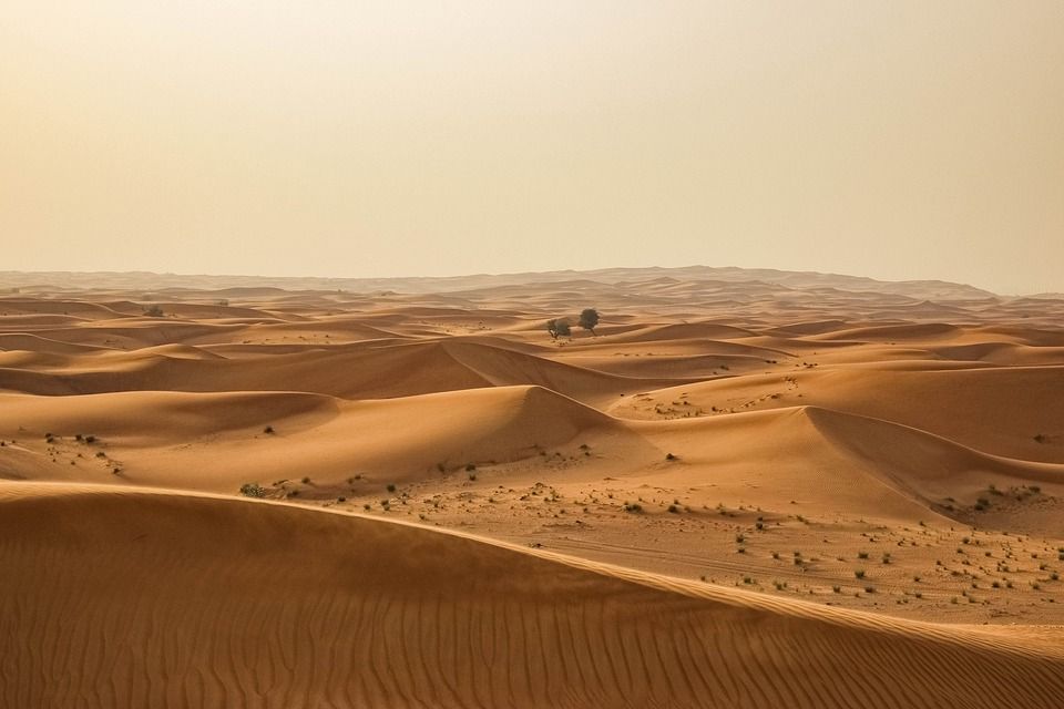 Gurun pasir terluas di afrika adalah