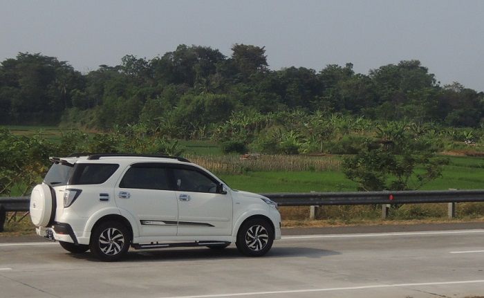 Mitos Kejatuhan Cicak Di Tangan Kiri Benarkah Ini Pertanda Buruk Semua Halaman Suar