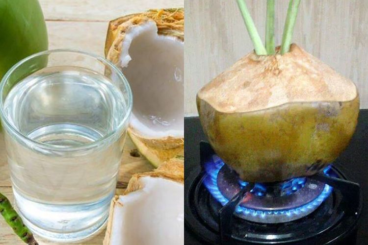 Apakah air kelapa ijo bisa menurunkan demam