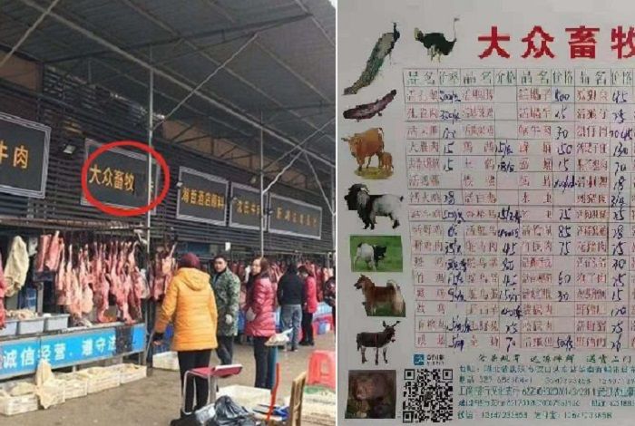 Virus Corona Didiagnosis Tersebar Lewat Daging Binatang Liar Yang