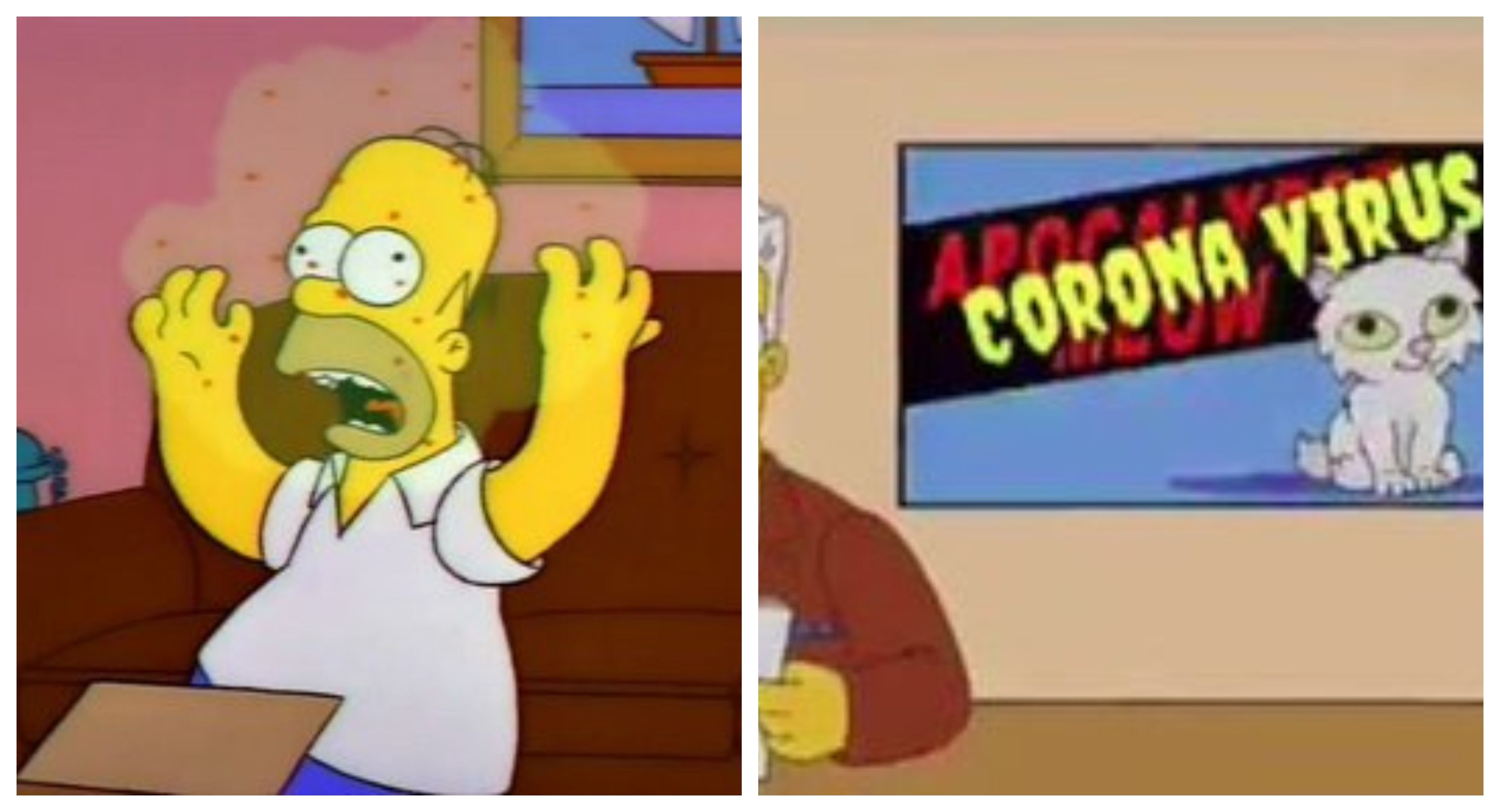 Berita Meme Terbaru Hari Ini The Simpsons Disebut Terus
