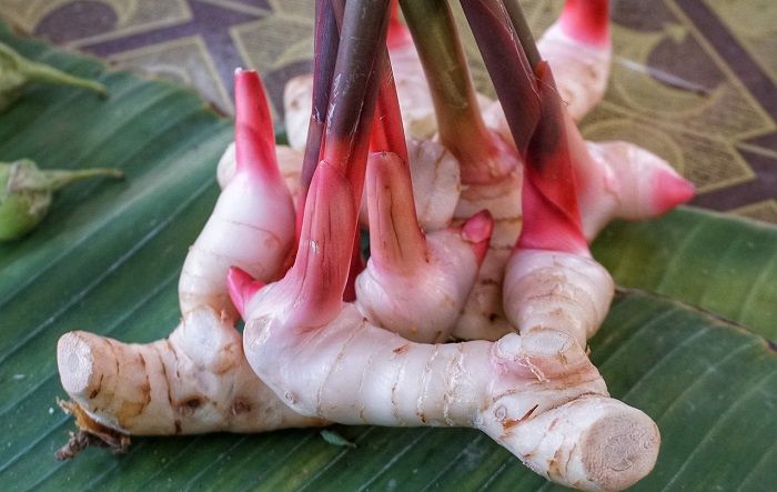 Ingin Wajah Cantik Dan Awet Muda Bahan Dapur Ini Bisa Jadi Pilihan Caranya Mudah Semua Halaman Nakita
