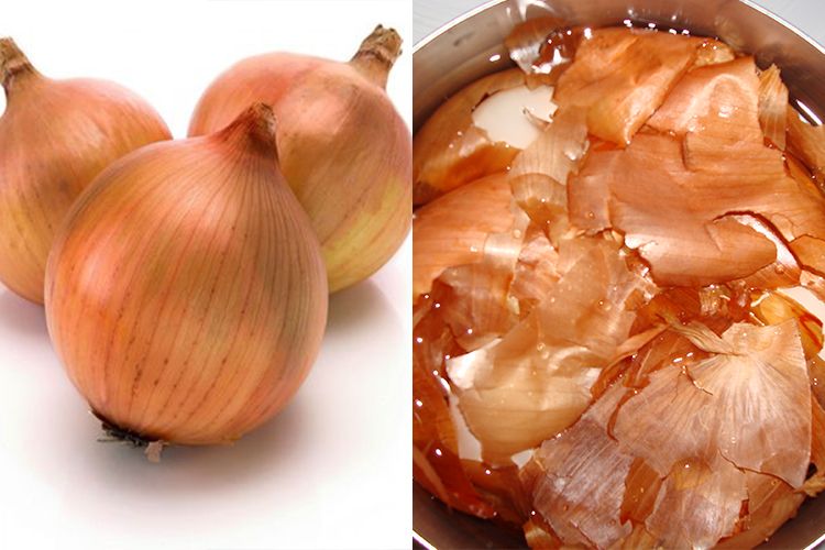 Jangan Dibuang Ternyata Air Rebusan Kulit Bawang Bombay Ampuh Jadi Obat Turunkan Kolesterol Begini Cara Buatnya Semua Halaman Sajian Sedap