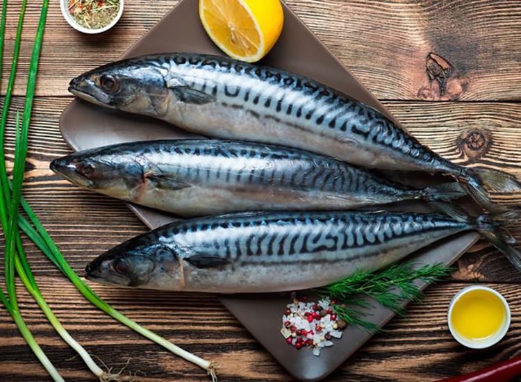 Ikan Sarden