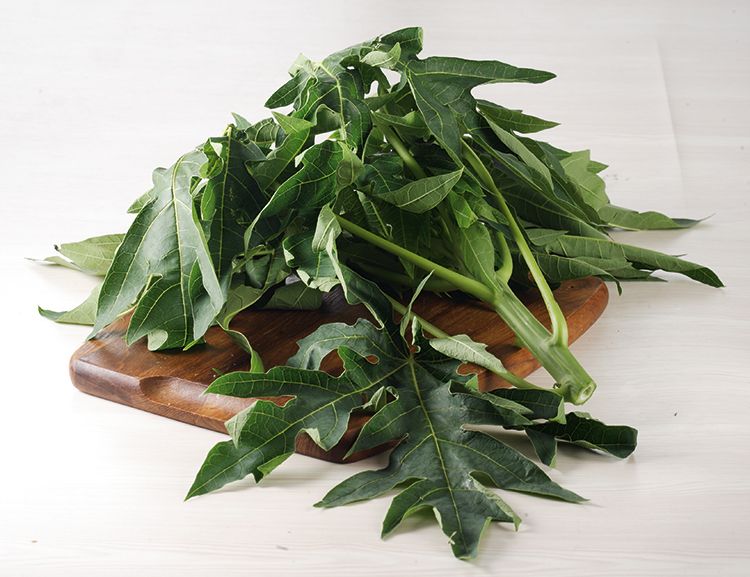 Cara Menghilangkan Pahit Daun Pepaya Ternyata Gampang Banget Tiru Trik Ala Warung Makan Ini Dijamin Berhasil Semua Halaman Sajian Sedap