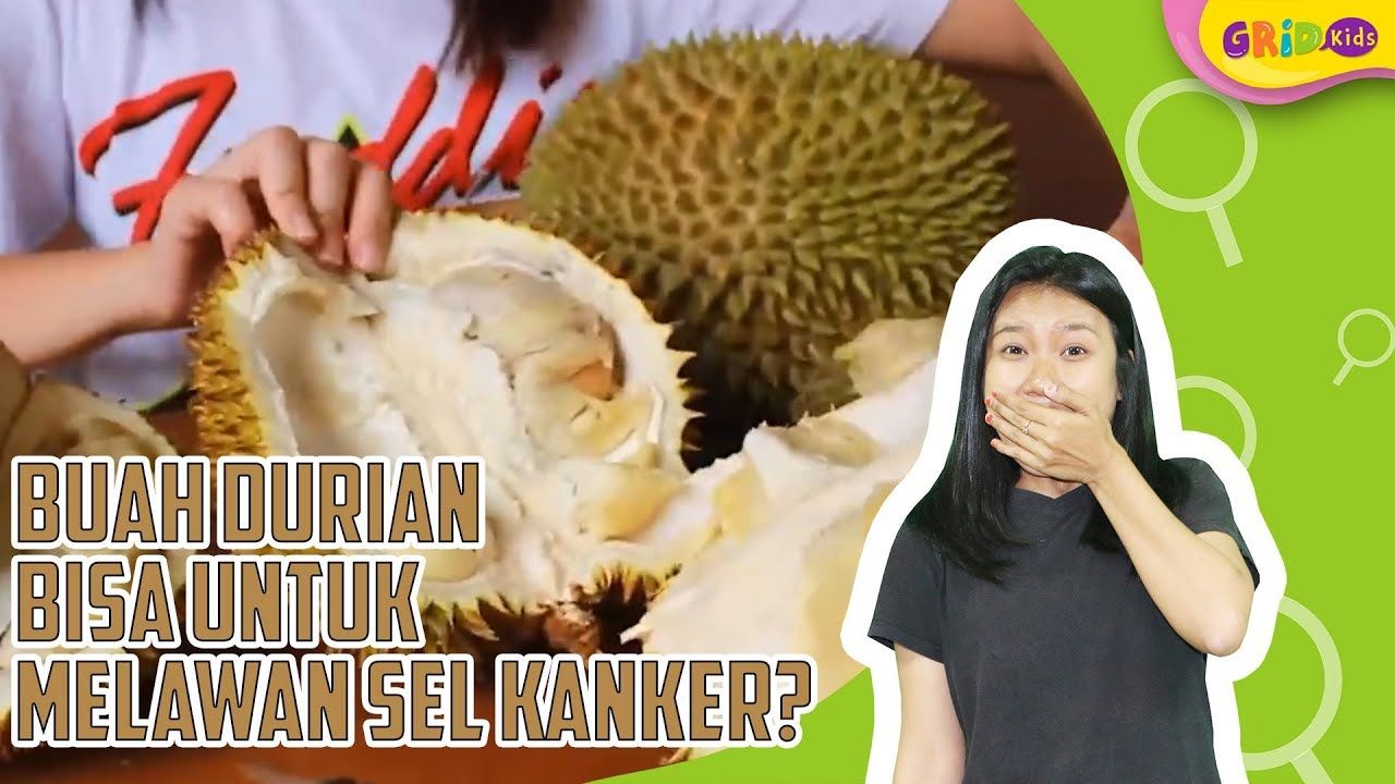 Berita Manfaat Durian Untuk Kesehatan Terbaru Hari Ini Selama