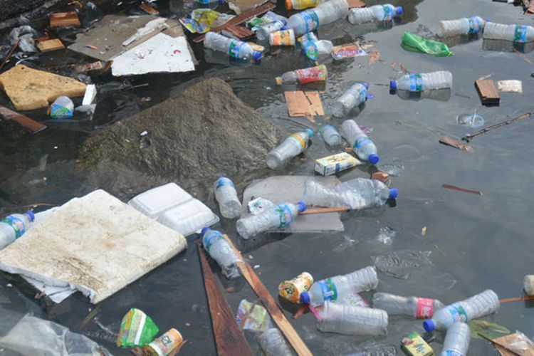 Bagaimana Cara Plastik Masuk ke Tubuh? Jawaban Soal Materi Sampah