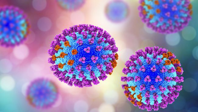 Oleh Virus Corona Manusia Sudah Kelimpungan Padahal Ada 12 Jenis Virus Paling Mematikan Di Bumi Semua Halaman Grid Health