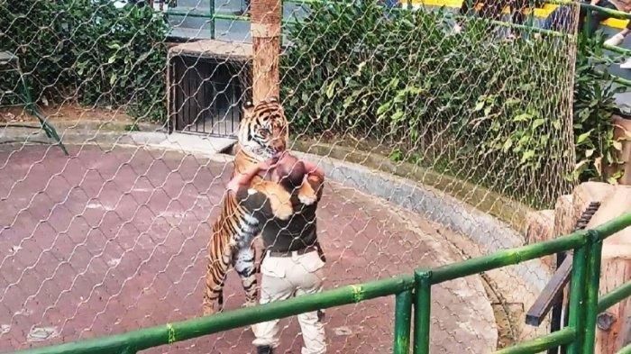 Gaji Dokter Hewan Taman Safari / Tarif berobat ke dokter