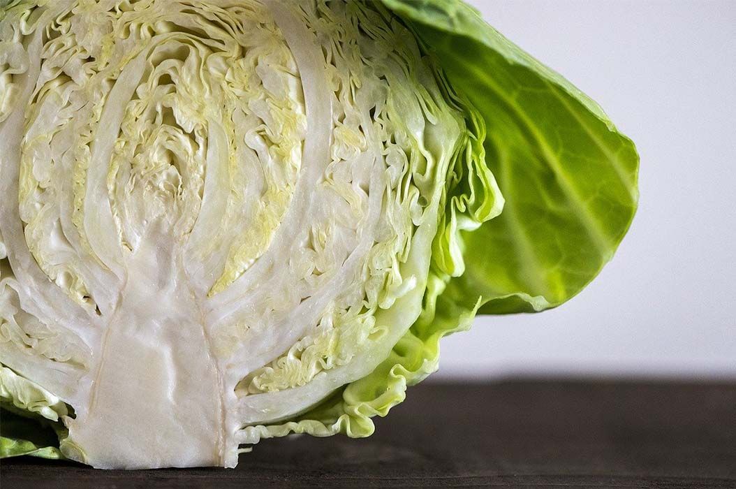 5 Manfaat Sayur Kol yang Jarang Orang Tahu, Ternyata Bantu Menurunkan