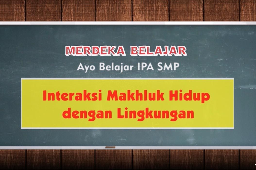 Rangkuman Dan Soal Materi Interaksi Makhluk Hidup Dengan Lingkungan Belajar Dari Rumah Tvri 12 Juni 2020 Semua Halaman Bobo