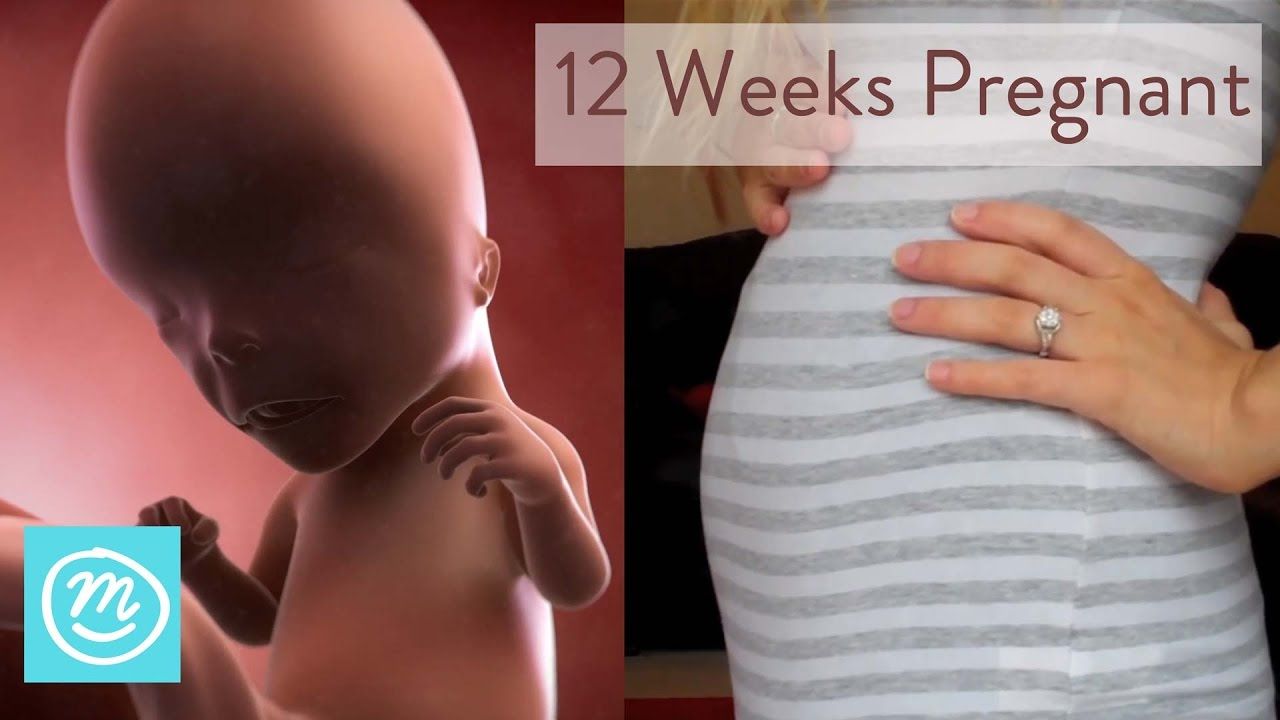 12 неделя плохо. 12 Недель беременности. 12 Week pregnancy. Pregnant 12 weeks. 12 Недель беременности видео.