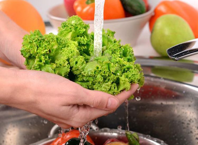 Bahaya Banget Kalau Termakan Begini Cara Hilangkan Ulat Dan Serangga Dari Sayuran Langsung Kabur Semua Karena Takut Semua Halaman Sajian Sedap Bahaya Banget Kalau Termakan Begini Cara Hilangkan Ulat Dan Serangga Dari Sayuran Langsung Kabur Semua Karena Takut Semua Halaman Sajian Sedap