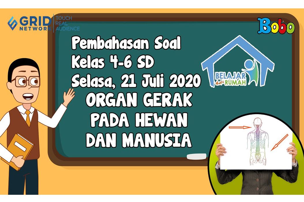 Alat gerak aktif pada hewan dan manusia berupa