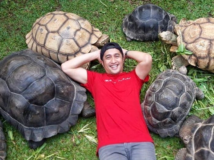Bisa Jadi Pertanda Keberuntungan Yang Besar Inilah Arti Mimpi Melihat Kura Kura Bisa Jadi Pertanda Keberuntungan Yang Besar Inilah Arti Mimpi Melihat Kura Kura