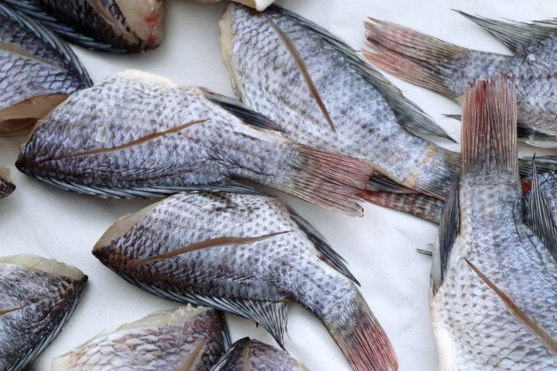 Ingat Jangan Pernah Beli Ikan Dengan Ciri Ciri Berikut Ini Karena Bahayakan Kesehatan Keluarga Kenali Ciri Ciri Ikan Segar Dan Layak Konsumsi Seperti Ini Semua Halaman Intisari