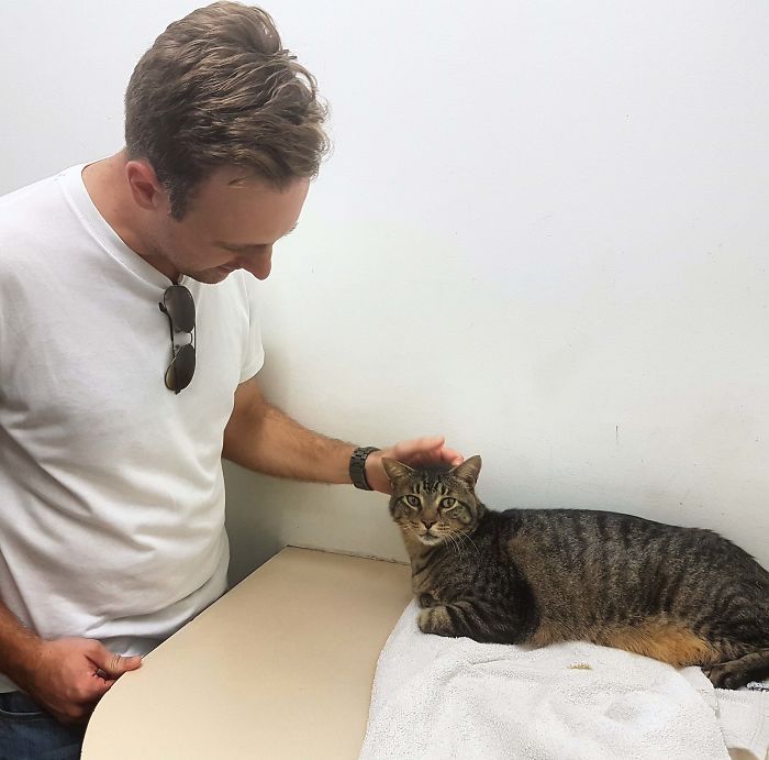 Kisah Haru Kucing yang Sempat Hilang tapi Akhirnya Kembali, Ada 