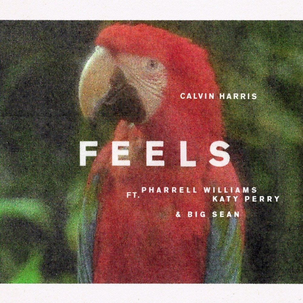 Lirik Lagu Feels Calvin Harris Feat Katy Perry Dengan Terjemahan Sonora Id