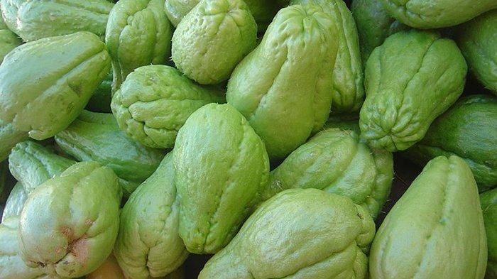 Berita Populer Manfaat Mengunyah Labu Siam Rebus Setiap Hari Sampai Manfaat Minum Air Rebusan Daun Pandan Di Pagi Dan Sore Hari Semua Halaman Sajian Sedap