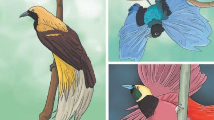 Vektor Burung Cendrawasih Hitam Pitih : Pertanyaan Tentang ...