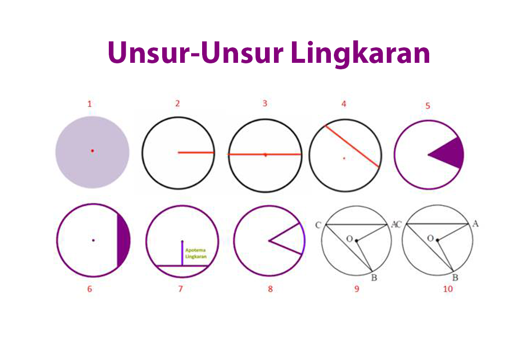 Unsur Unsur Lingkaran Beserta Contoh Gambarnya Semua Halaman Bobo