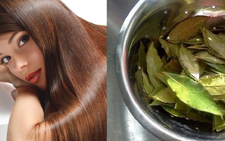 Yuk Simak Manfaat Daun Salam Untuk Rambut Rontok 