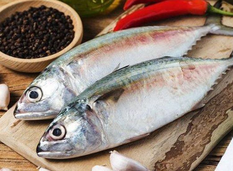 Cara Mudah Memilih Ikan yang Segar di Pasar, Pemula Pasti Bisa Jika