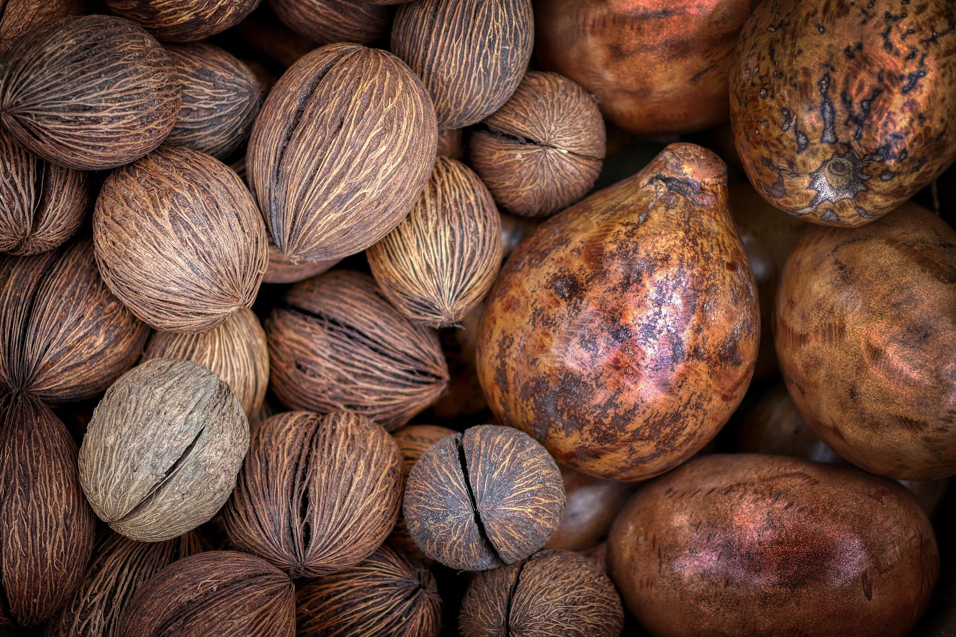 Buah Delima Untuk Rambut - Manfaat Buah Mengkudu untuk ...