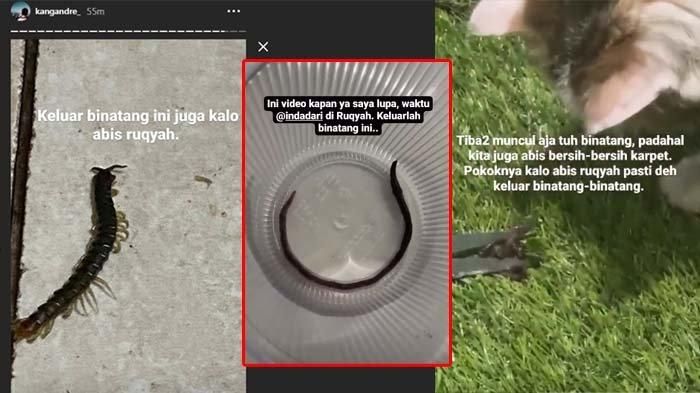 Bukti Mantan Istri Caisar Yks Kena Santet Selama 3 Tahun Ada Pocong Terkubur Di Halaman Rumah Hingga Muncul Binatang Ini Tiap Indadari Dirukiyah Semua Halaman Grid Hot