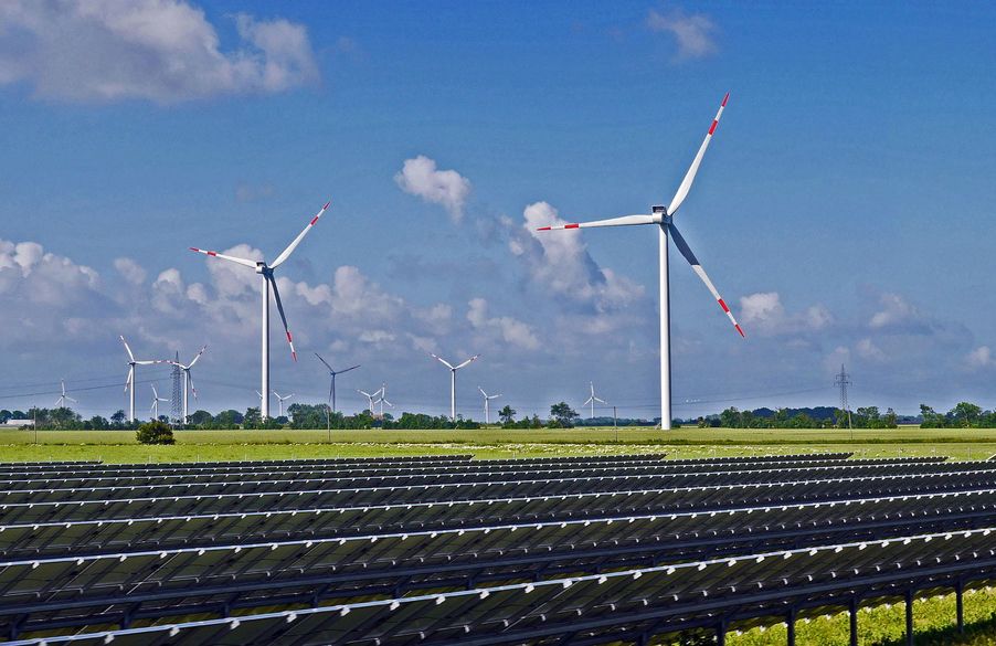 Sumber Energi Terbarukan Yang Berasal Dari Tumbuhan