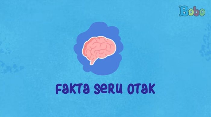Wah, Ternyata Manusia Bukan Pemilik Otak Terbesar! Ketahui Berbagai