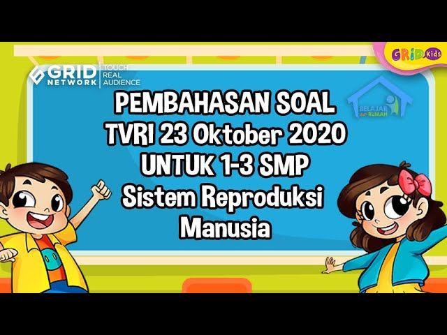 Soal Dan Jawaban Materi Tvri Sistem Reproduksi Manusia Jumat 23 Oktober 2020 Semua Halaman Kids