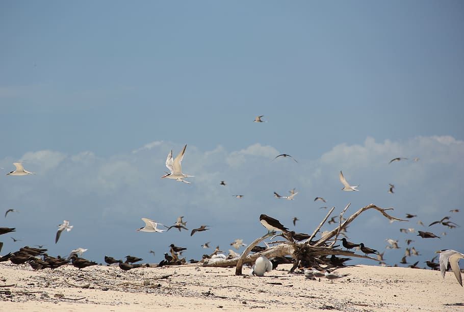 Apa Itu Ekosistem Ini Arti Komponen Yang Membentuk Dan Jenisnya Semua Halaman Kids