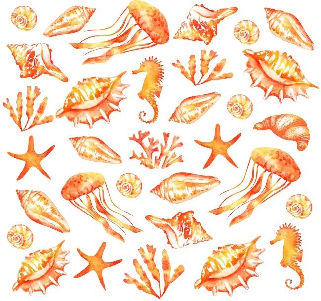 Temukan croissant diantara hewan laut