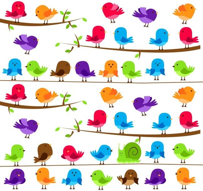 Anda lihat siput di antara para burung lucu ini?