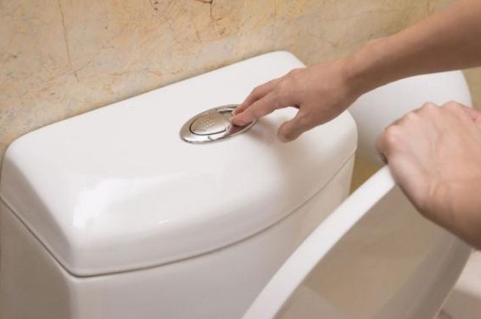 Sering Dianggap Sepele, Ternyata Kebiasaan Siram Kloset Tanpa Menutupnya Bisa Timbulkan Hal Berbahaya Buat Seisi Rumah - Semua Halaman - Sajian Sedap
