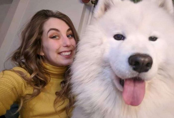 Bulu Bulu Anjing Yang Rontok Ini Dibuat Menjadi Sepatu Boots Seperti Apa Jadinya Ya Semua Halaman Bobo Bulu Bulu Anjing Yang Rontok Ini Dibuat Menjadi Sepatu Boots Seperti Apa Jadinya Ya Semua Halaman Bobo