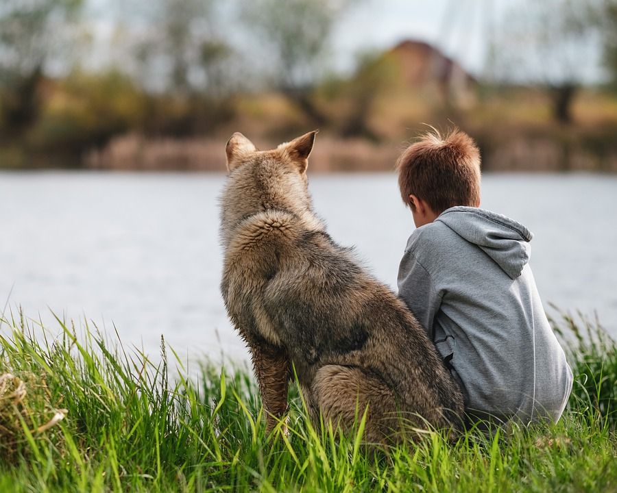 Mengapa Anjing Identik Sebagai Hewan yang Paling Setia dan Menjadi Sahabat Terdekat Manusia?