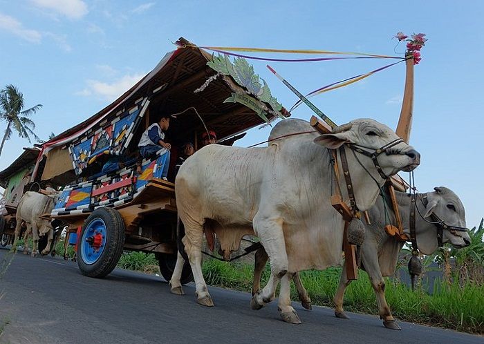 Perkembangan teknologi transportasi dari masa ke masa