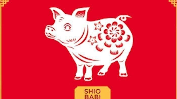 Shio Babi.