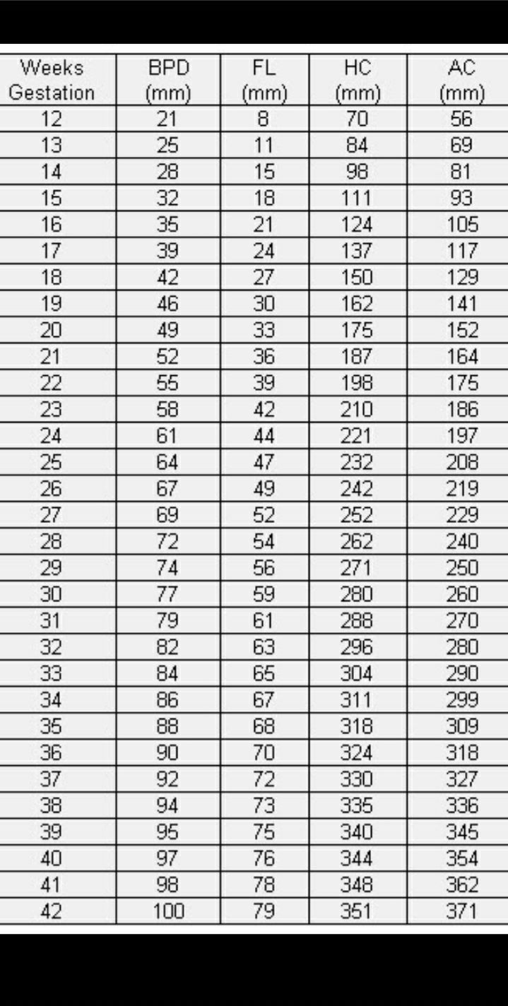 Penasaran Dengan Tumbuh Kembang Janin Begini Cara Membaca Hasil Usg Kehamilan Yang Benar Semua Halaman Grid Health
