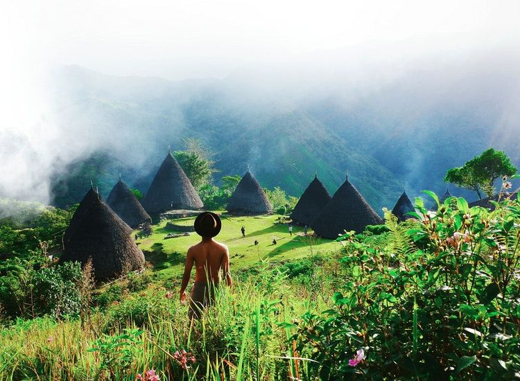 Cari Jawaban Soal Kelas 4 Tema 9 Subtema 1 Apa Saja Fungsi Lingkungan Bagi Kehidupan Semua Halaman Bobo