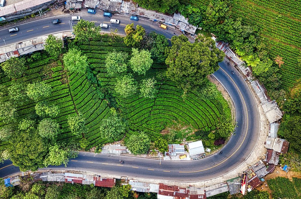 Manfaat Tumbuhan Bagi Lingkungan Sekitarnya Materi Kelas 4 Tema 6 Semua Halaman Bobo